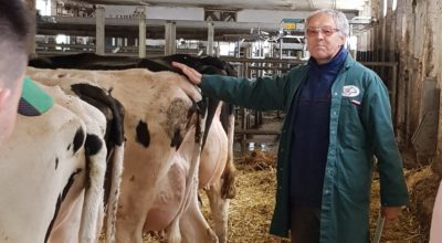 Besuch im Kuhstall: Azubis wurden in der „Tierbeurteilung“ unterwiesen