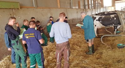 Mutterkuh und Milchvieh: Prüfungsvorbereitung für Azubis in Harzungen und Oldisleben 