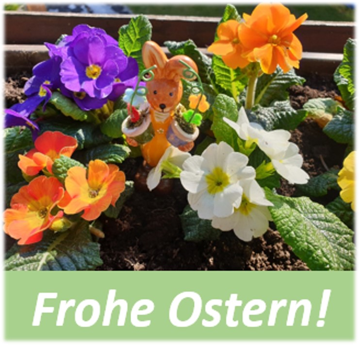 frohe-ostern-bild1